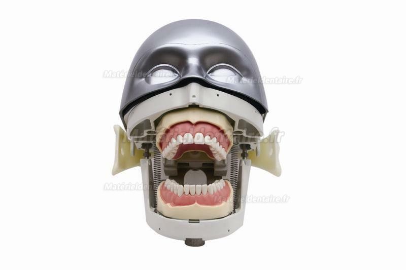 Jingle JG-C4 modèle de pratique de chirurgie dentaire simulation dentaire